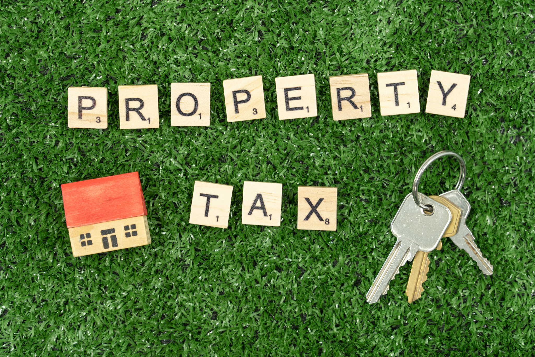 Property Tax Diagnostic manual 