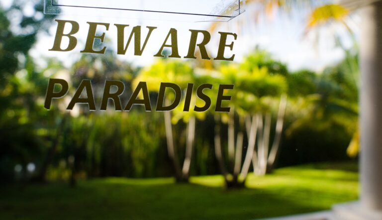 Imitons les paradis fiscaux au lieu de les dénoncer